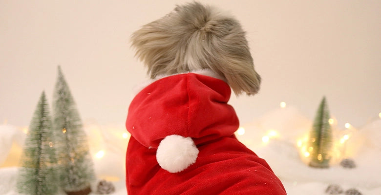 Tenue de père noël pour chien